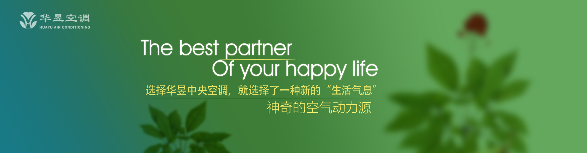 肝胆欲碎网